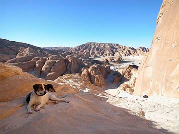 Blick ins Wadi Gazalla