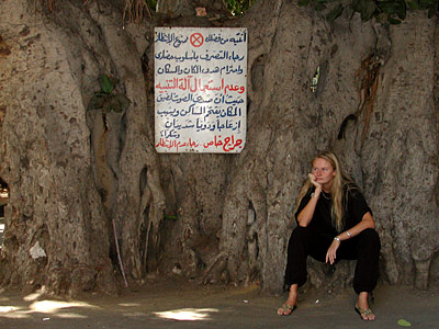Steffi in Kairo, Copyright Stefanie M&ouml;hrle + Dr. Hans-Michael Hackenberg