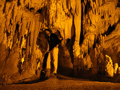 , Copyright Stefanie Möhrle