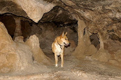 Milatos-Hhle, Copyright Stefanie Möhrle