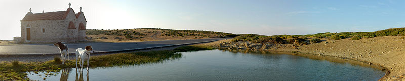 Lara und Lucy, Copyright Stefanie Möhrle