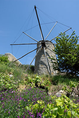 Windmühle, Copyright Stefanie Möhrle
