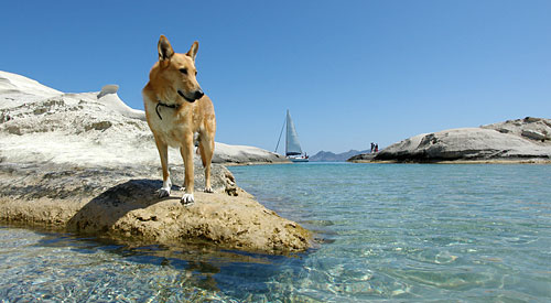 Ari in Sarakiniko, Copyright Stefanie Möhrle