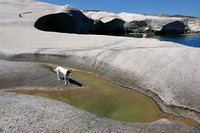 Lucy an den Tümpeln von Sarakiniko, Copyright Stefanie Möhrle