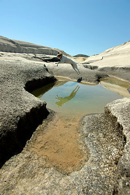 Lucy im Sprung, Copyright Stefanie Möhrle