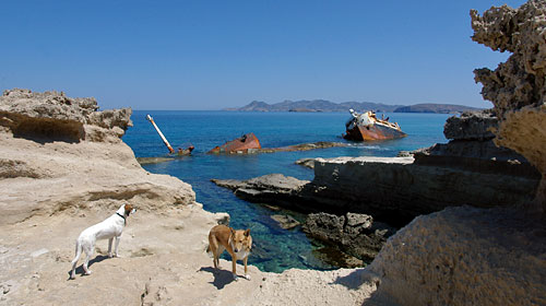 Wrack, Copyright Stefanie Möhrle