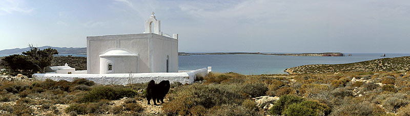Kira hinter der Kirche, Copyright: Stefanie M&ouml;hrle
