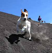 Lucy im Element