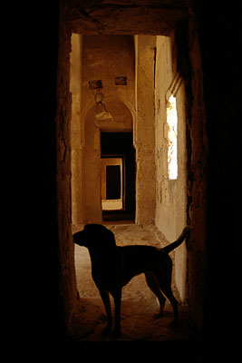Lara im Qasr el-Kharaneh, Copyright Stefanie M&ouml;hrle