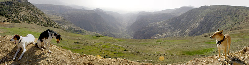 K&ouml;nigsstra&szlig;e, Copyright Stefanie M&ouml;hrle