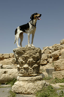 Lara in Rabba, Copyright Stefanie M&ouml;hrle