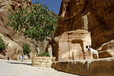 Lucy im Siq, Copyright Stefanie M&ouml;hrle