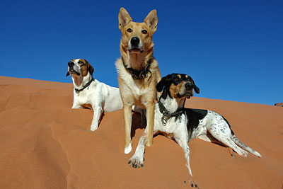 Wadi Rum, Copyright Stefanie M&ouml;hrle