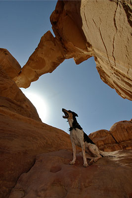 Lara im Wadi Rum, Copyright Stefanie M&ouml;hrle