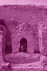 Onkel Ari vor einer antiken Hundeh&uuml;tte in Dura Europos