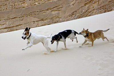 Lucy, Lara und Ari, Copyright Stefanie M&ouml;hrle