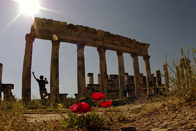 Ein Teil der S&auml;ulenstra&szlig;e von Apameia, Copyright Stefanie M&ouml;hrle