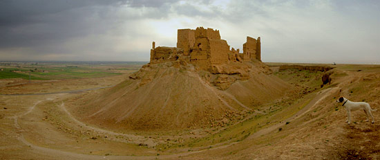 Panorama der Burg Qalaat ar-Rahba , Copyright Stefanie M&ouml;hrle 