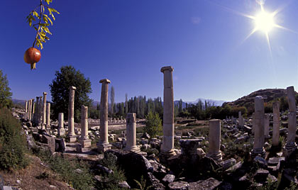 Aphrodisias, Copyright Stefanie M&ouml;hrle