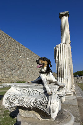 Lara mit Ionischer S&auml;ule, Copyright Stefanie M&ouml;hrle