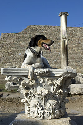 Lara mit Korinthischem Kapitell, Copyright Stefanie M&ouml;hrle