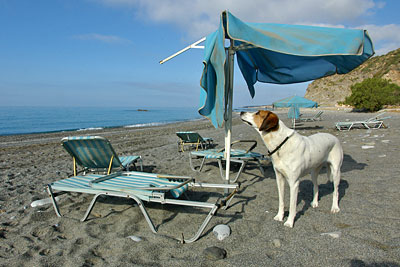 Lucy entdeckt Vandalismus, Copyright Stefanie M&ouml;hrle