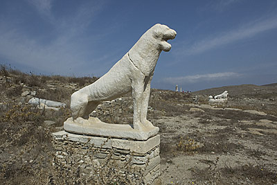 Löwe, Copyright: Stefanie Möhrle Löwe, Copyright: Stefanie Möhrle